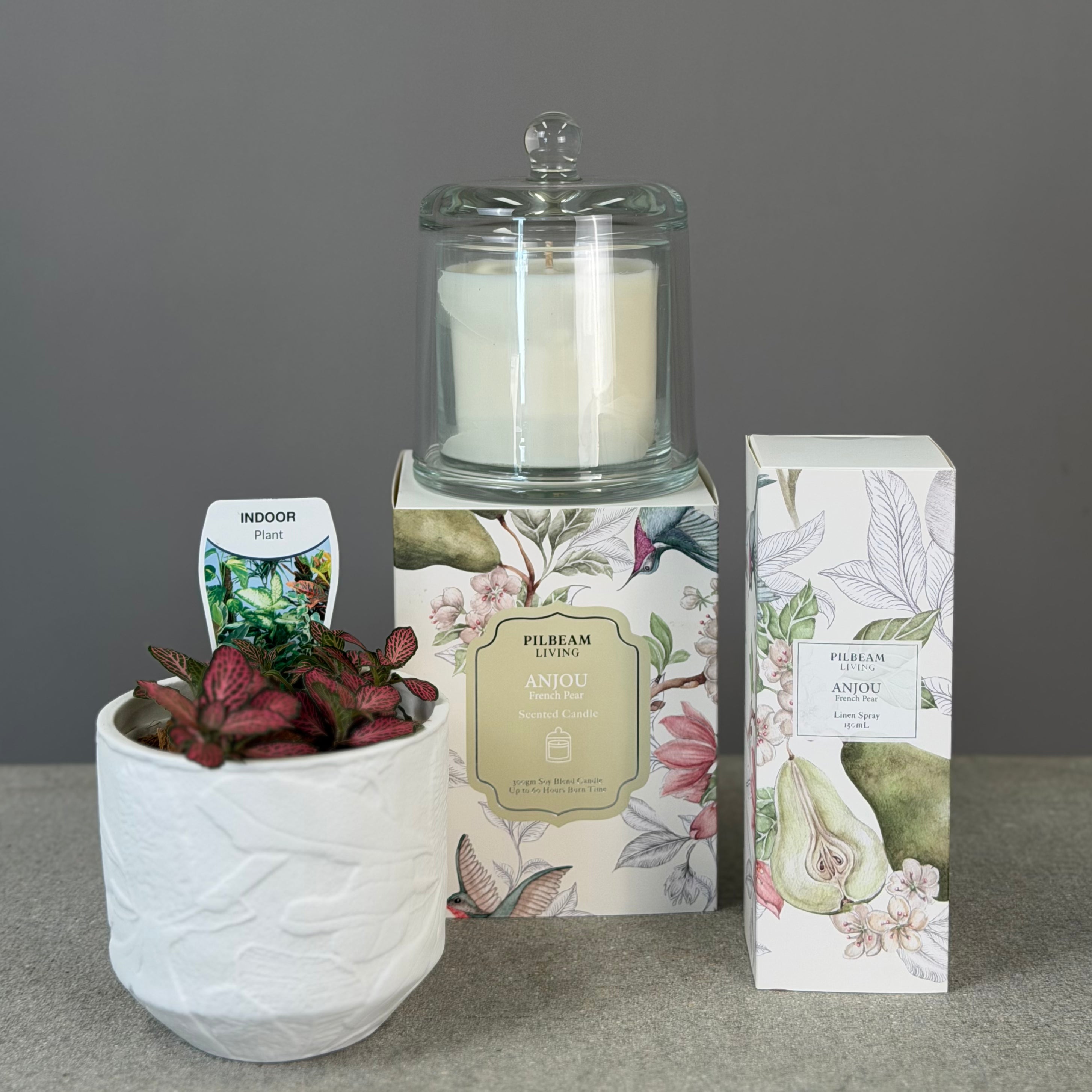 Pot Plant + Candle & Linen Spray