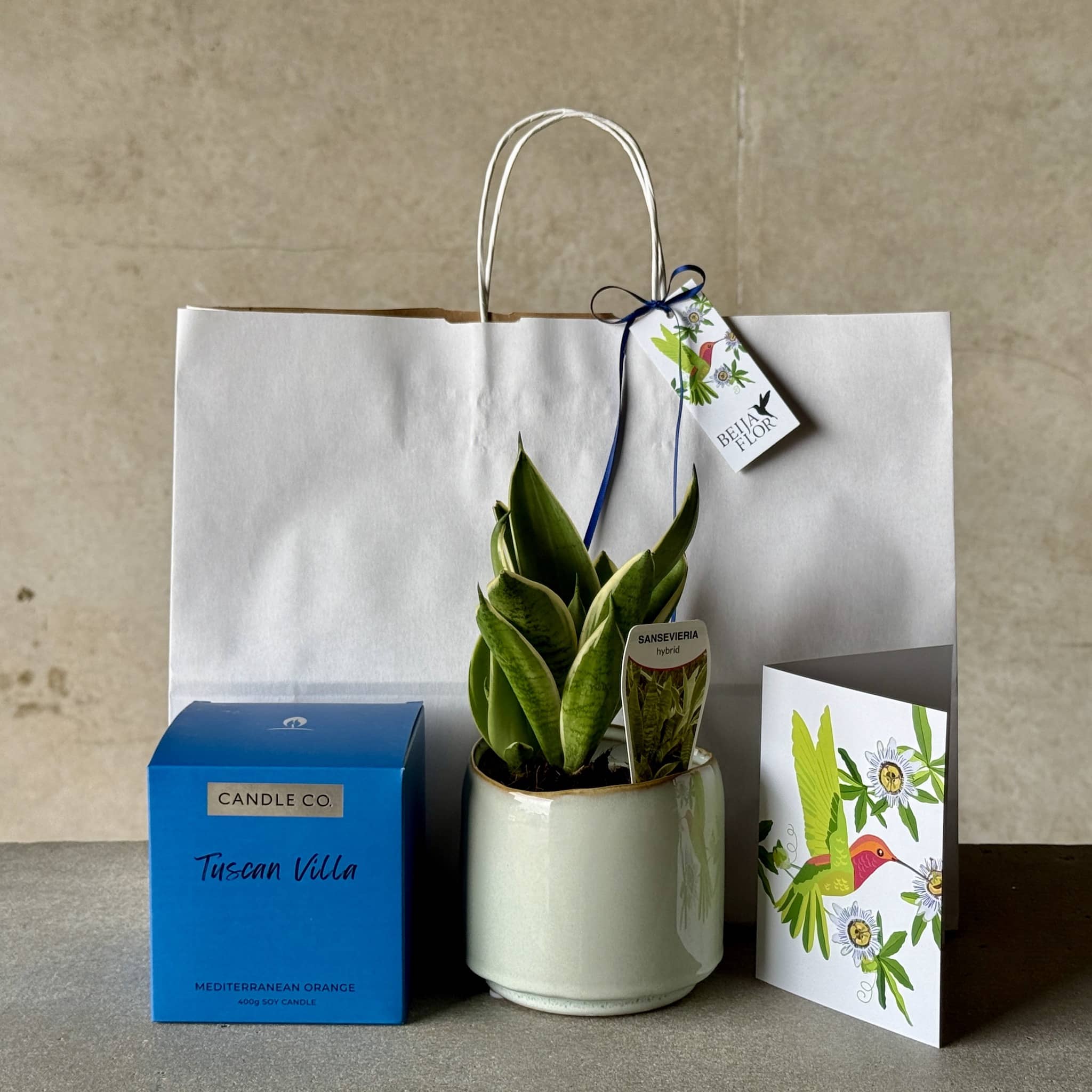 Sky Pot Plant + Candle