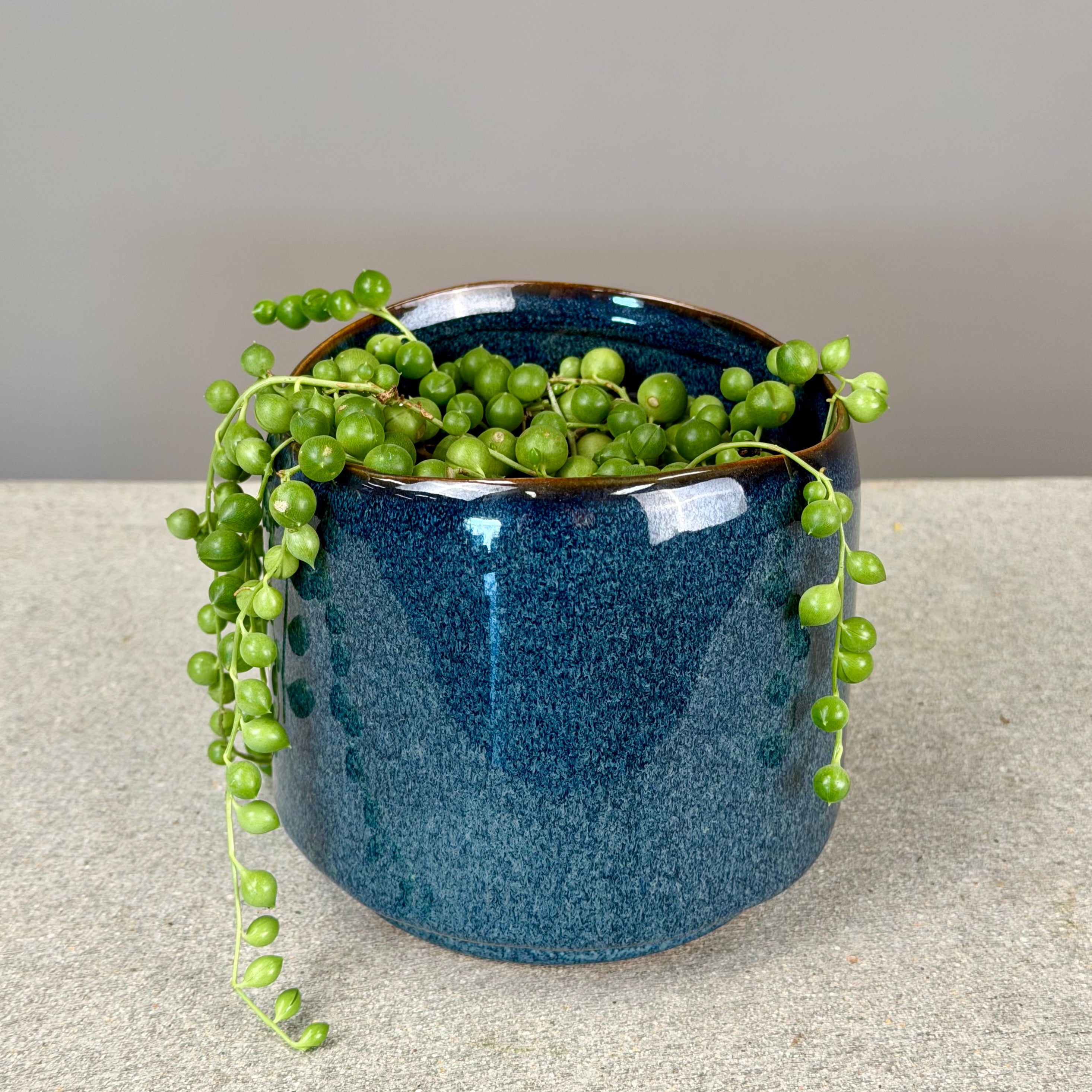 Pot Plant + Candle