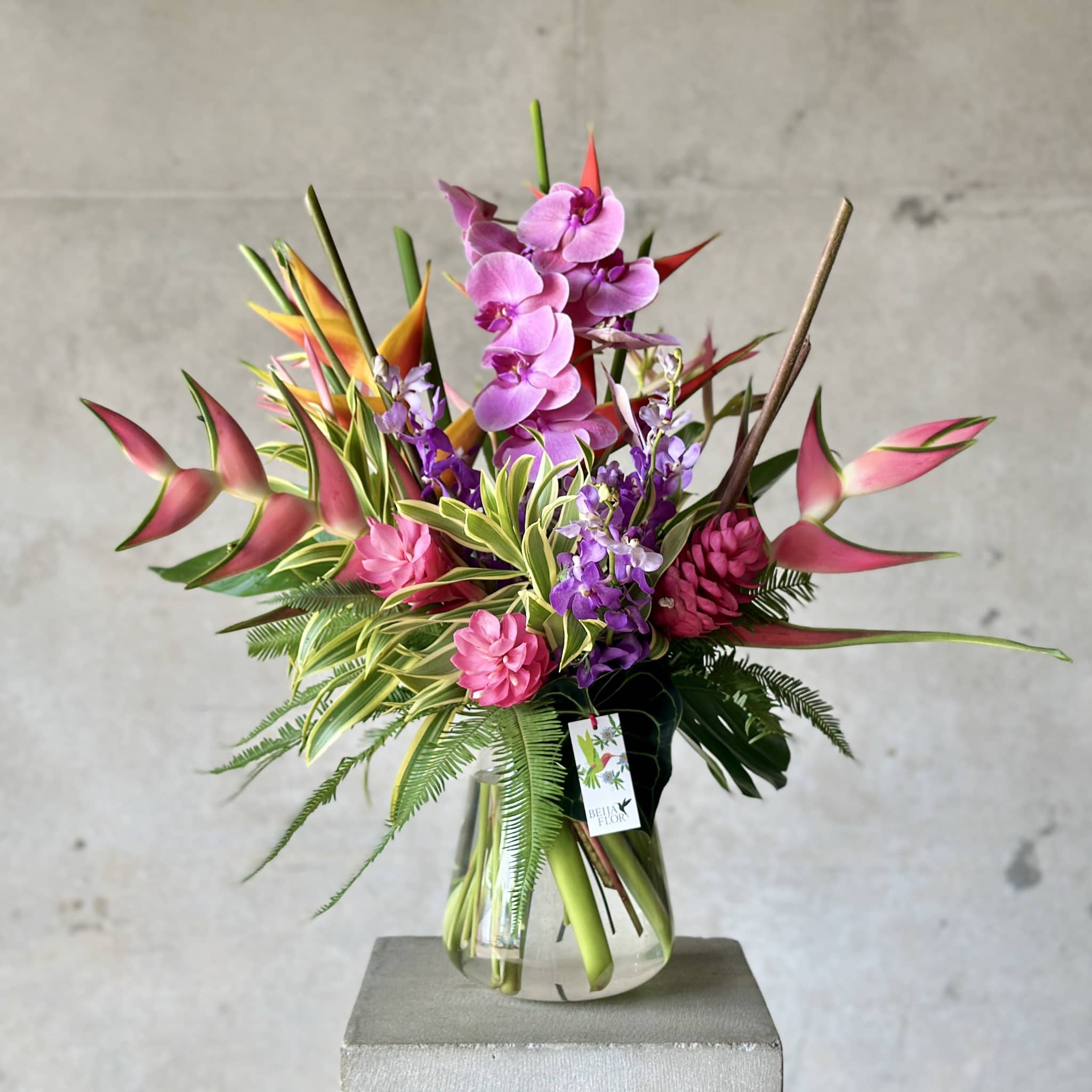tahiti tropical flower vase beija flor darwin