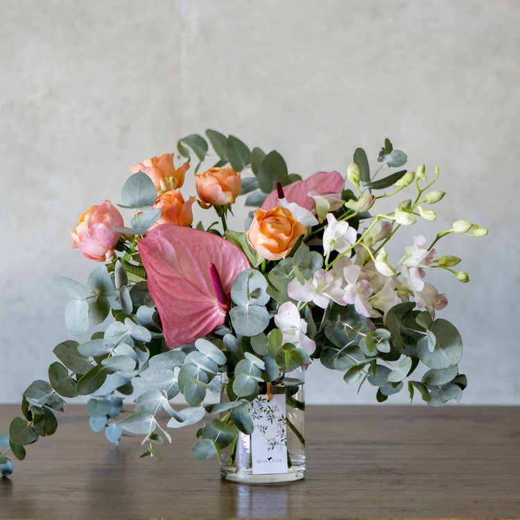 Mother's Day PEACHY +vase - Beija Flor Darwin