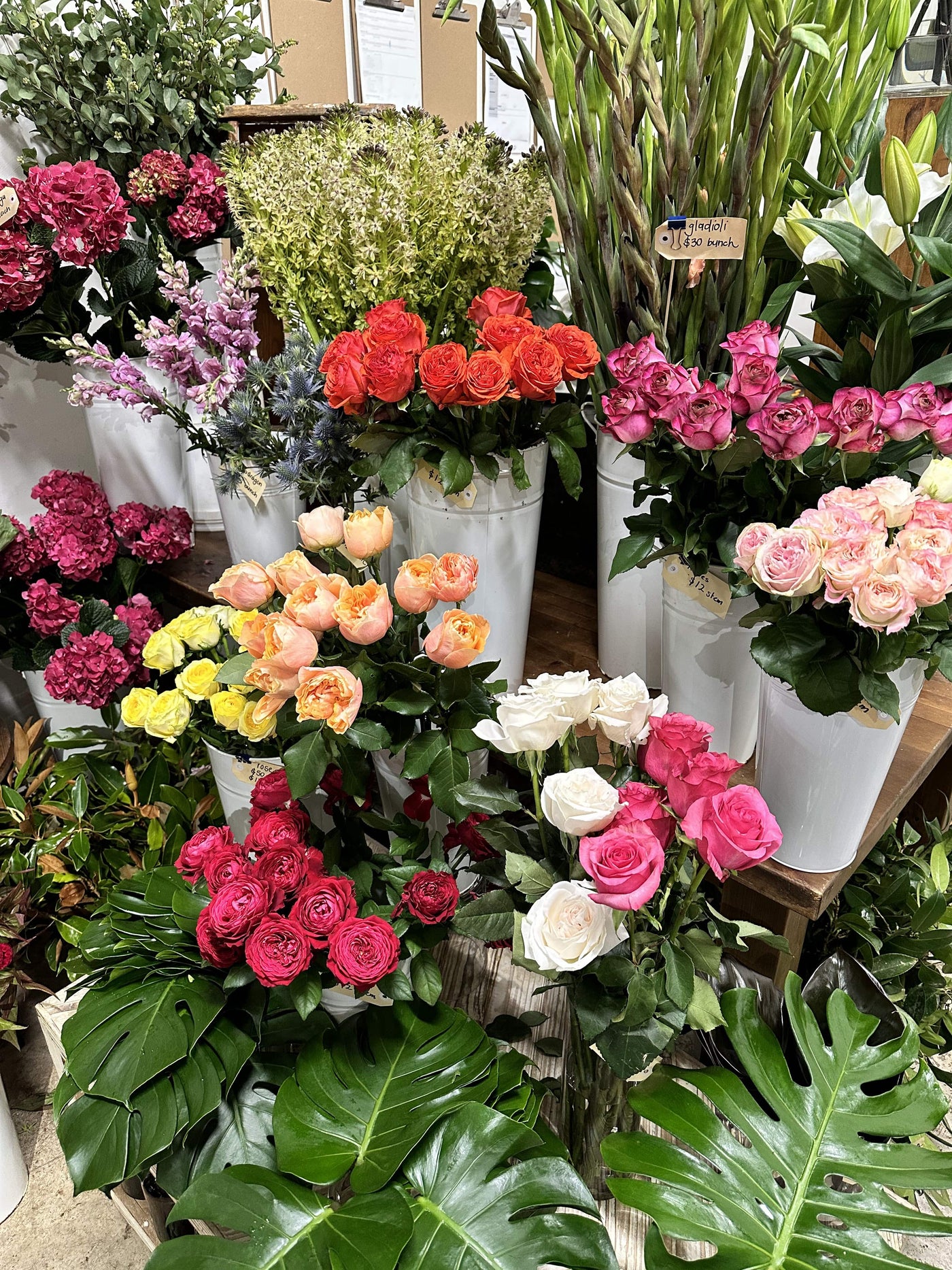 What Flowers Are Available in February?