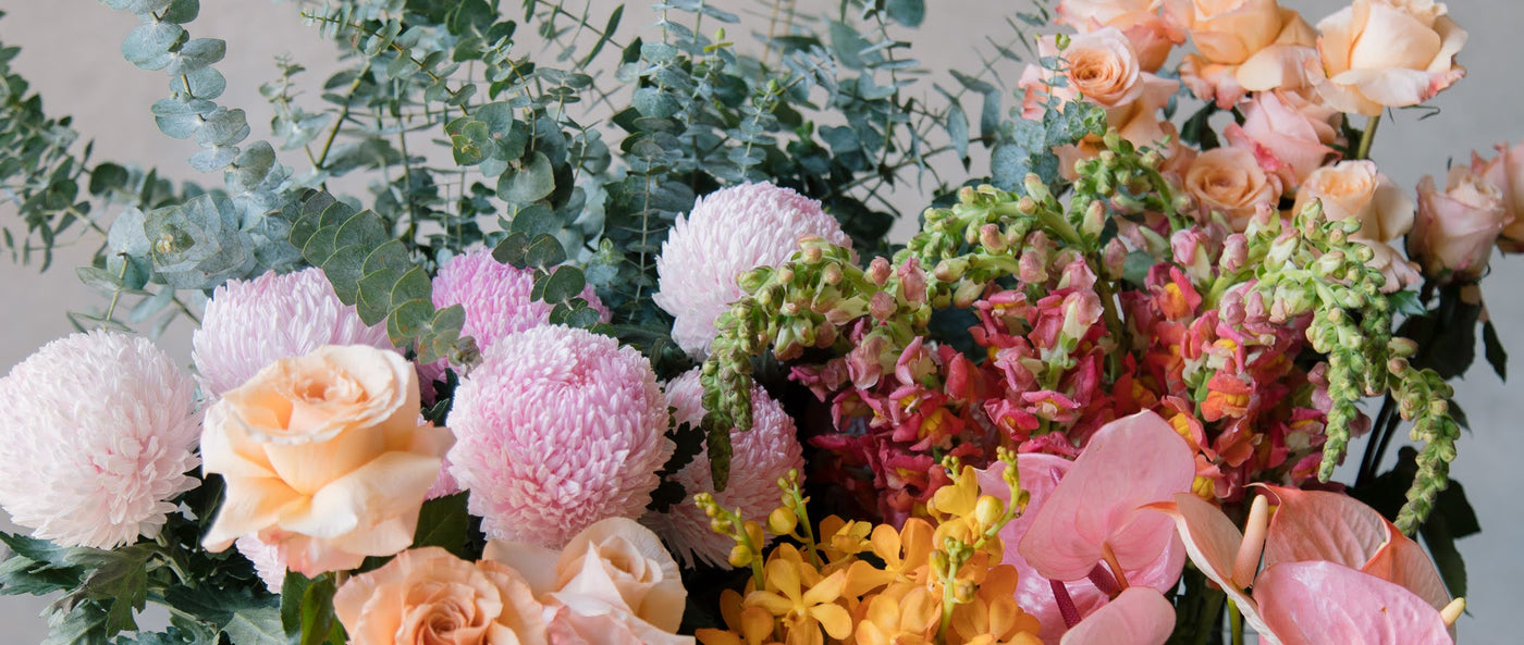 Peachy Keen – Celebrating Pantone's Colour of the Year with Beija Flor's Fabulous Flower Favourites