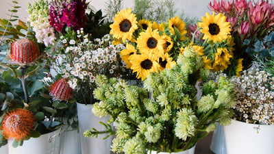 Beija Flor Florist Pick Bonnie Bunch and Bonnie Vase