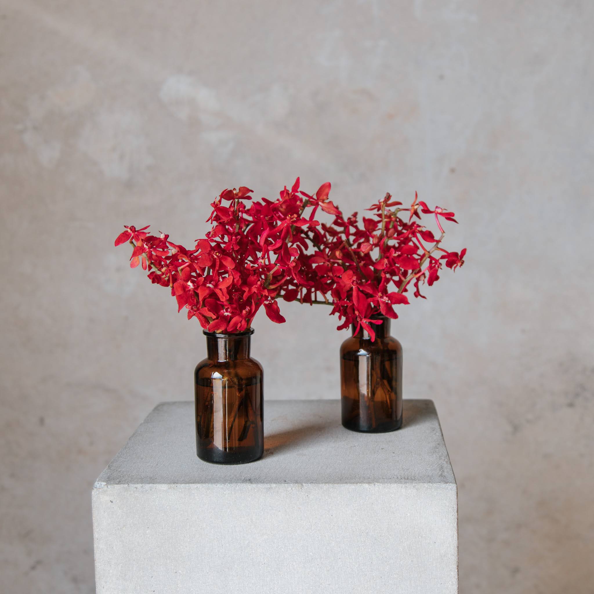 Beija Flor Amber Specimen Bottle Floral Arrangement