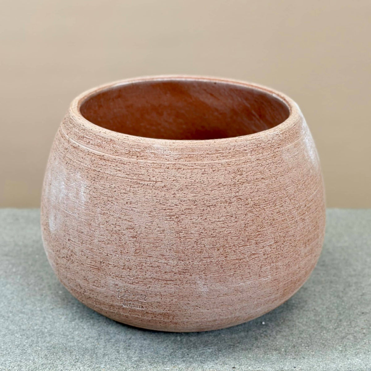 Homalomena in Terracotta