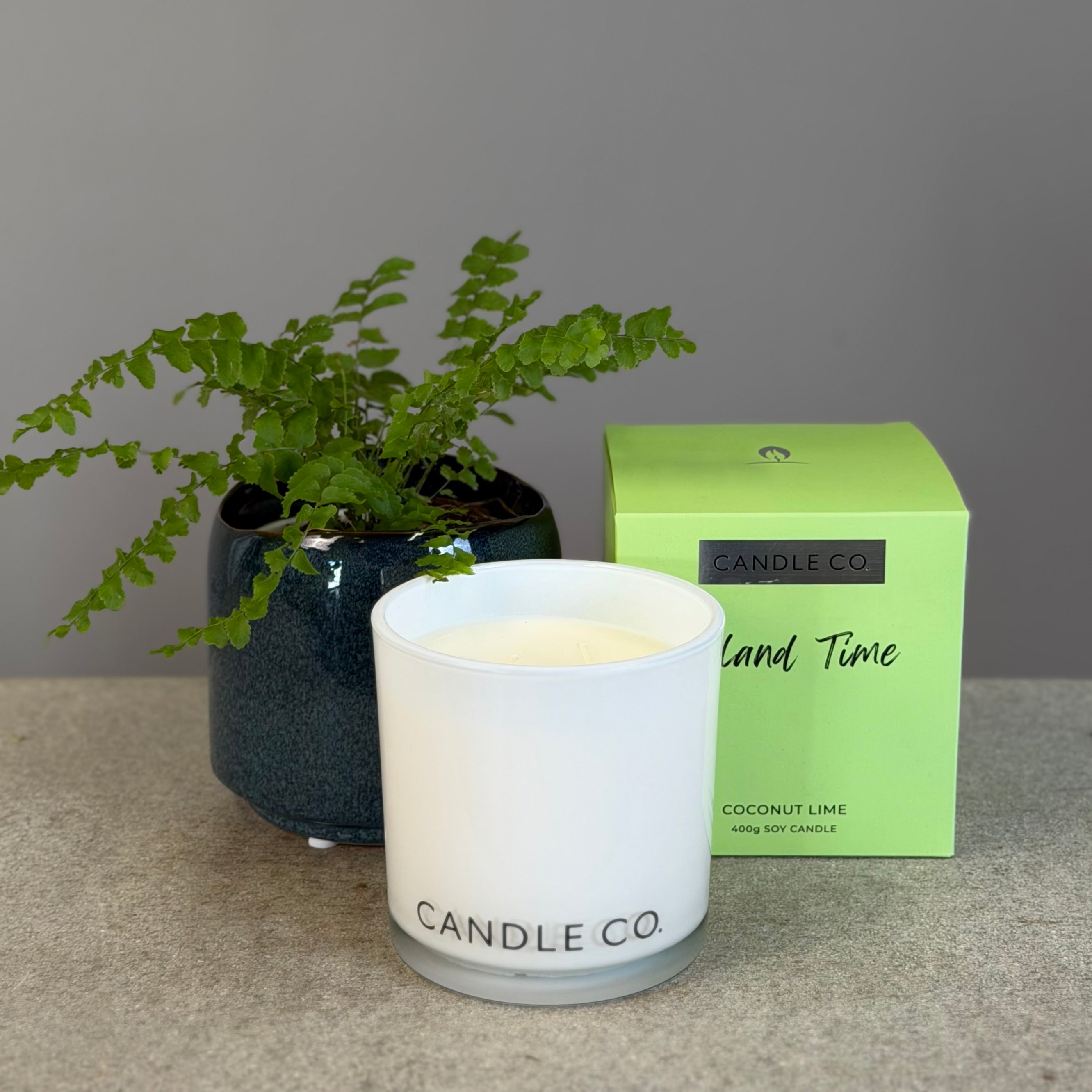 Pot Plant + Candle