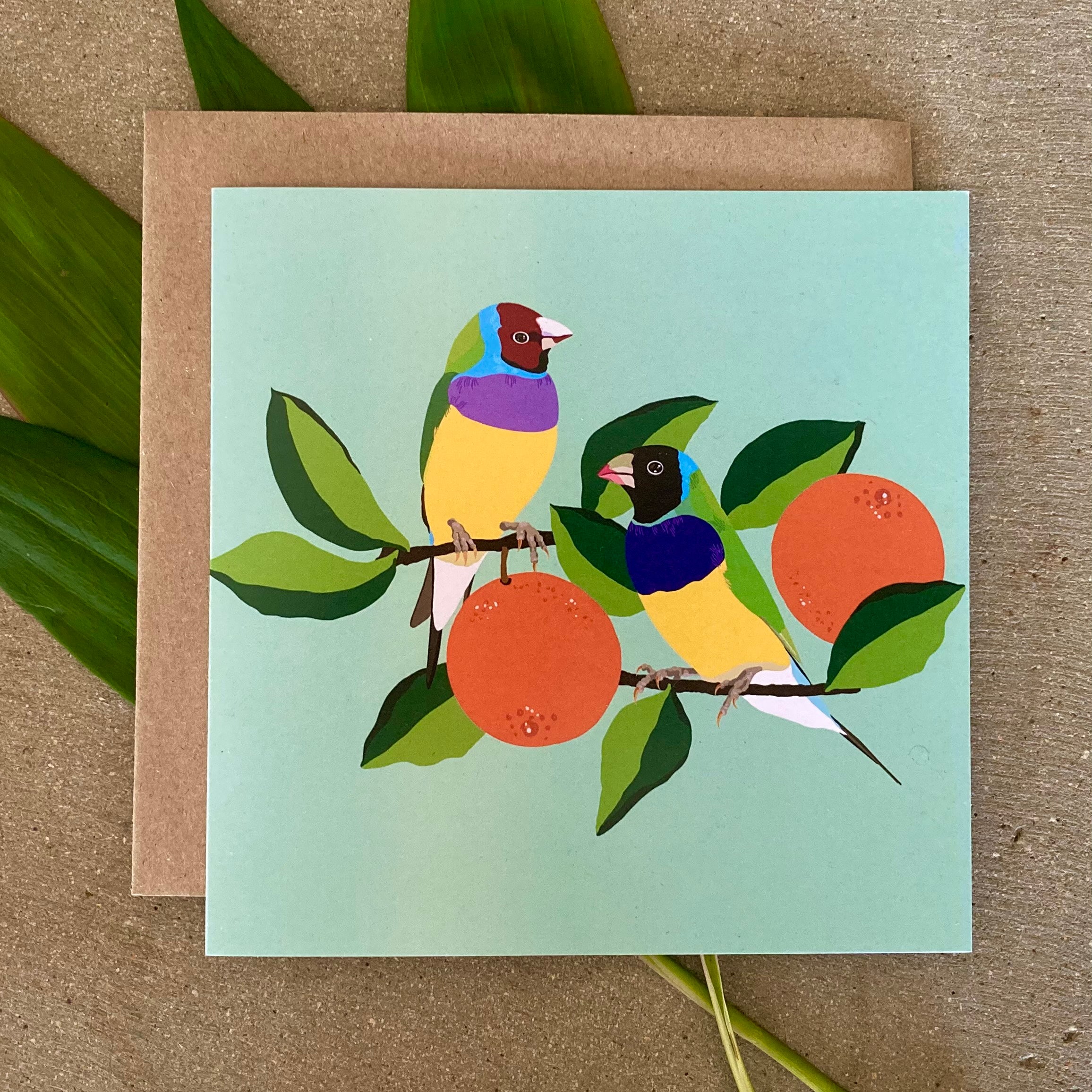 Gouldian Finch Card