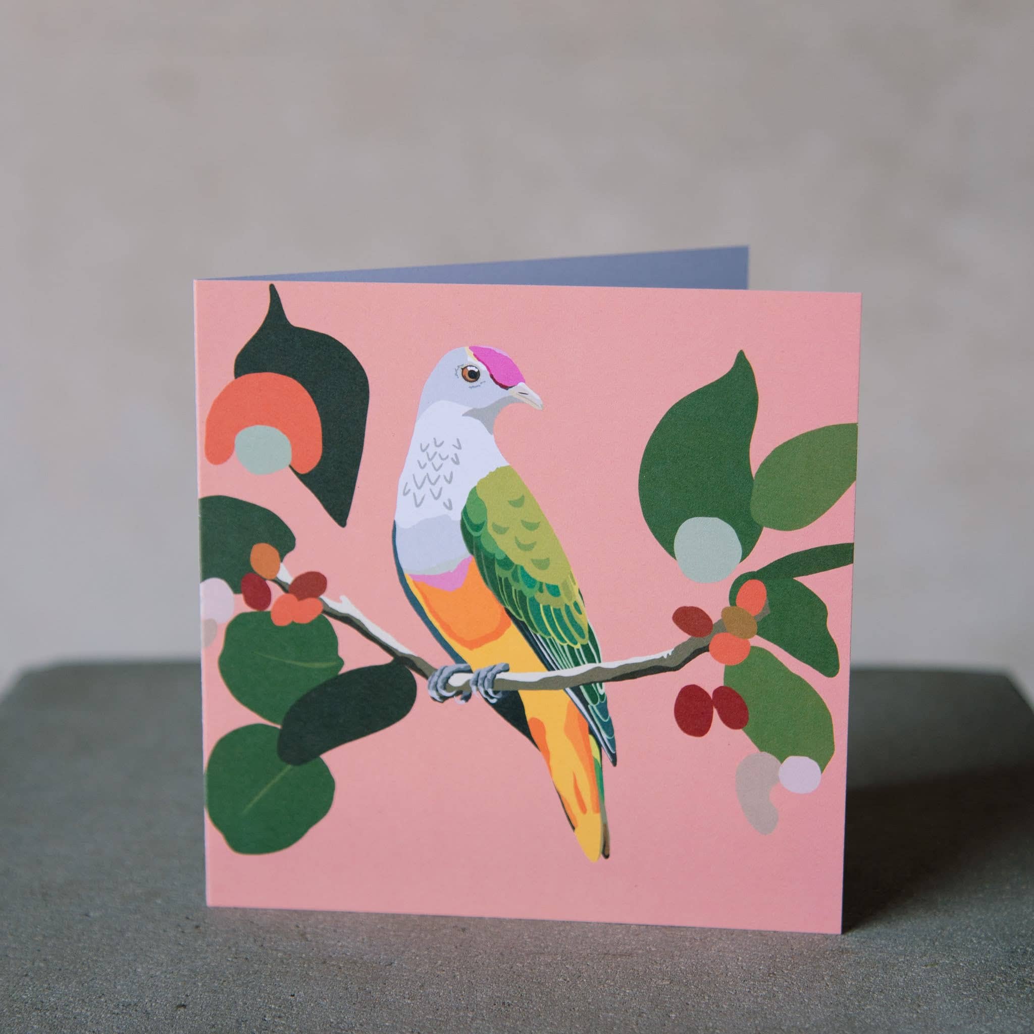 Jenniwren Greeting Card Fruit Dove