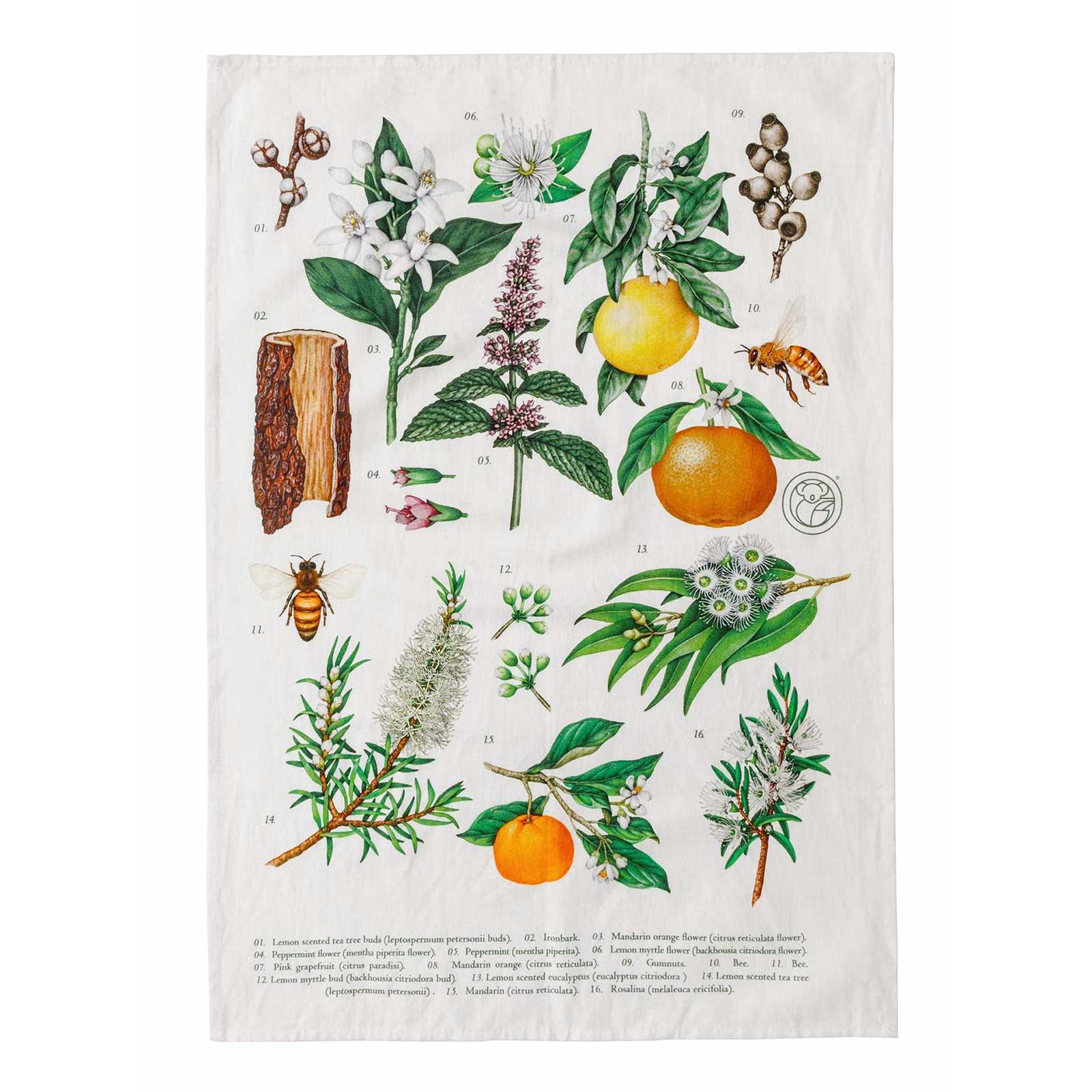 Koala Eco's signature tea towel