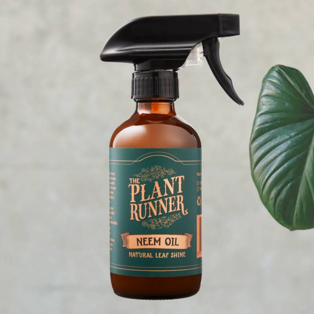 Plant Care Kit