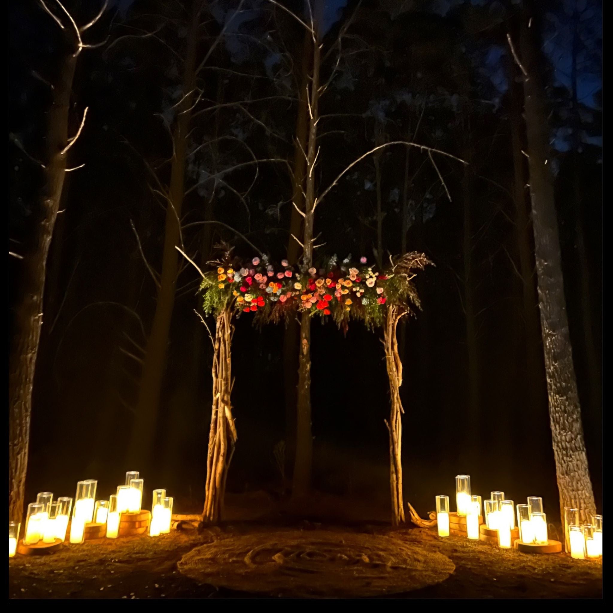 Beija Flor Darwin - Hire and Prop Items - Illuminated Branches Arbour with colourful flowers with lanterns in a forest setting