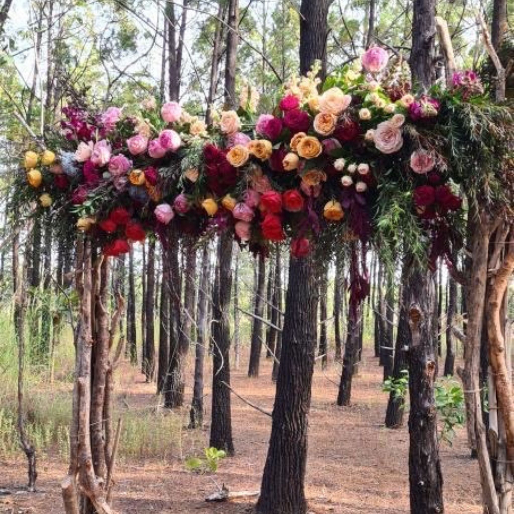 Beija Flor Darwin - Hire and Prop Items - Woodland wedding arch with vibrant roses and greenery