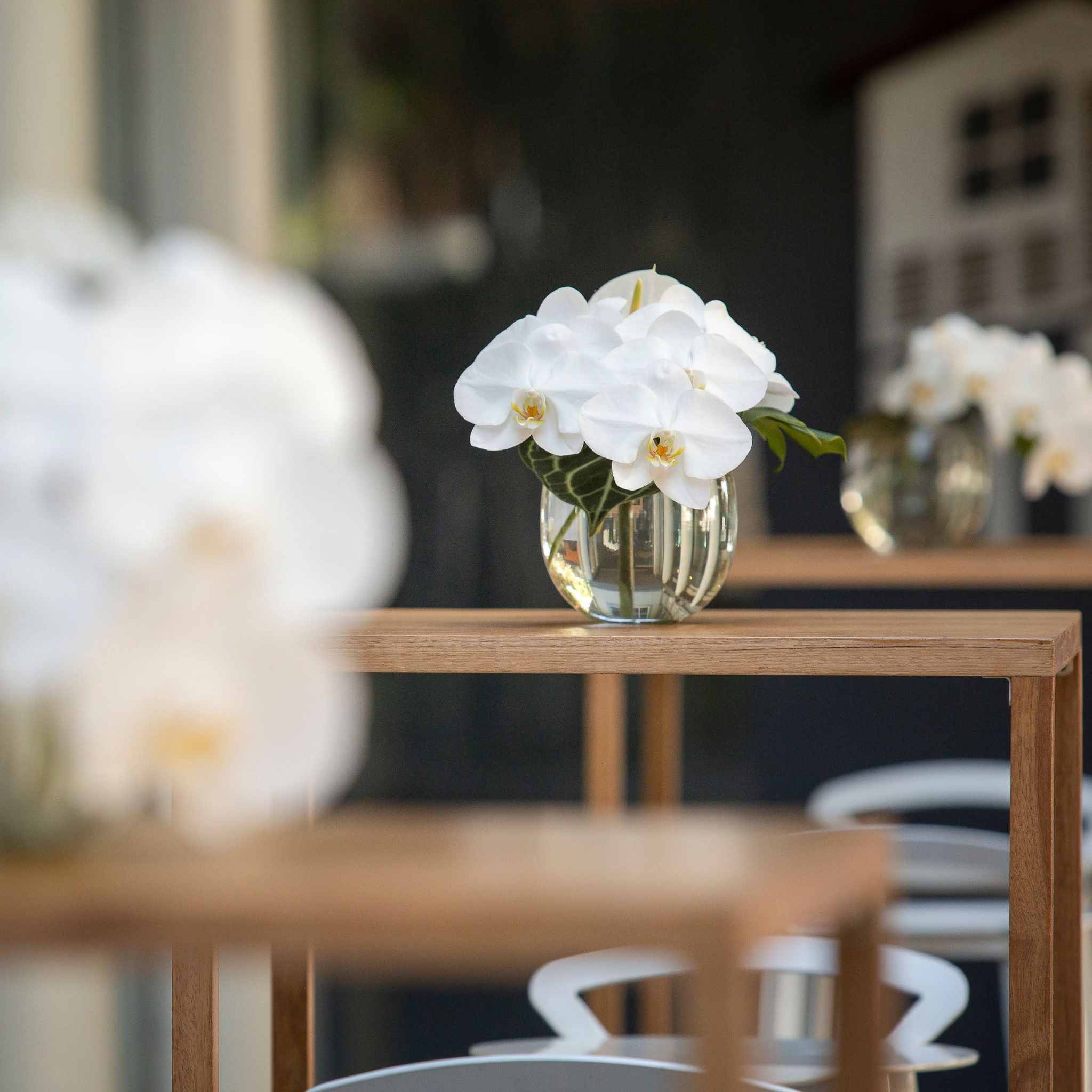 Beija Flor - Darwin wedding & event hire - Bubble Vase Large in White Phaelanopsis Arrangement