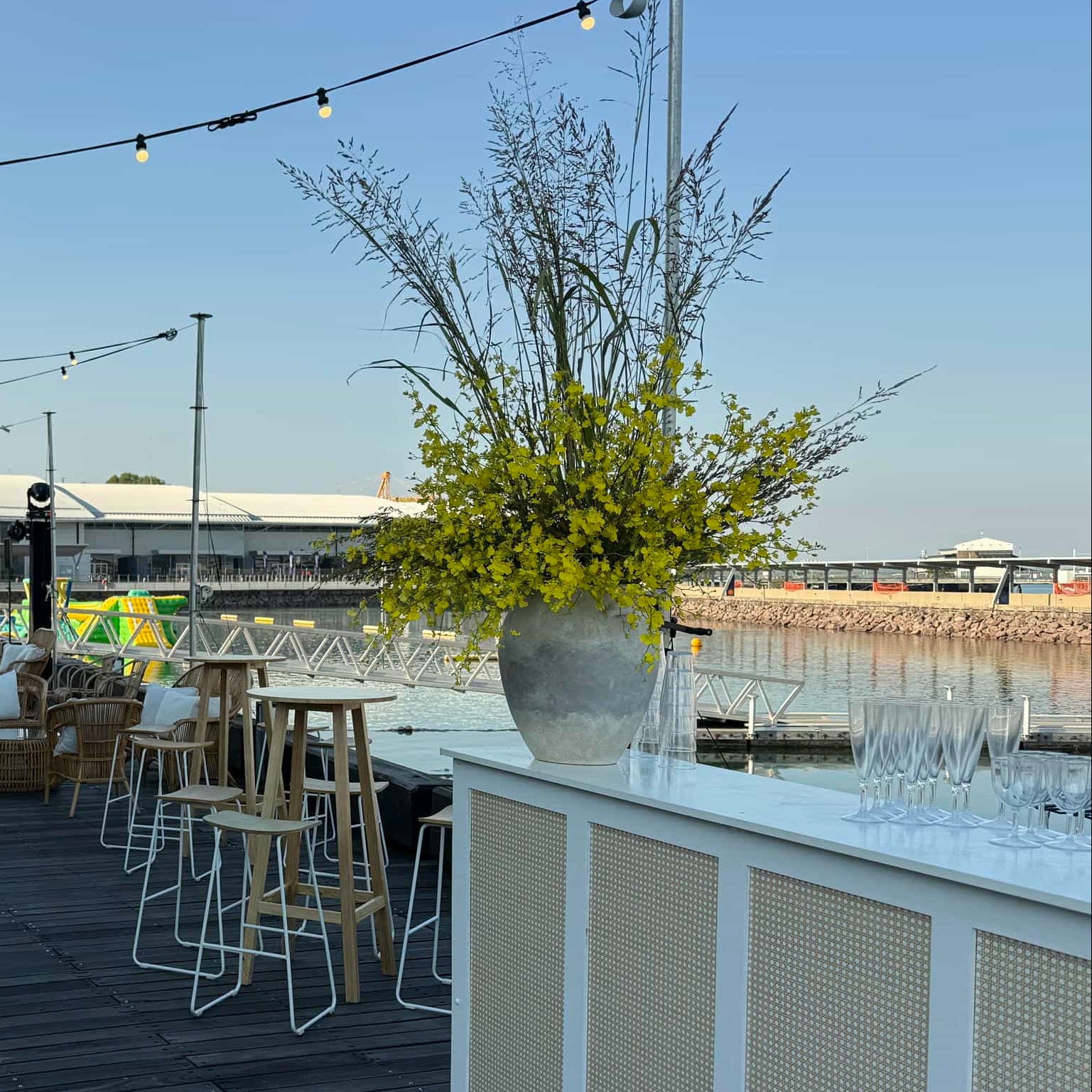 beija flor paspaley string lights and lounge floral view