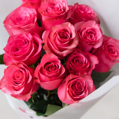 Beija Flor Pink Valentines Tickle Me Pink Dozen Roses
