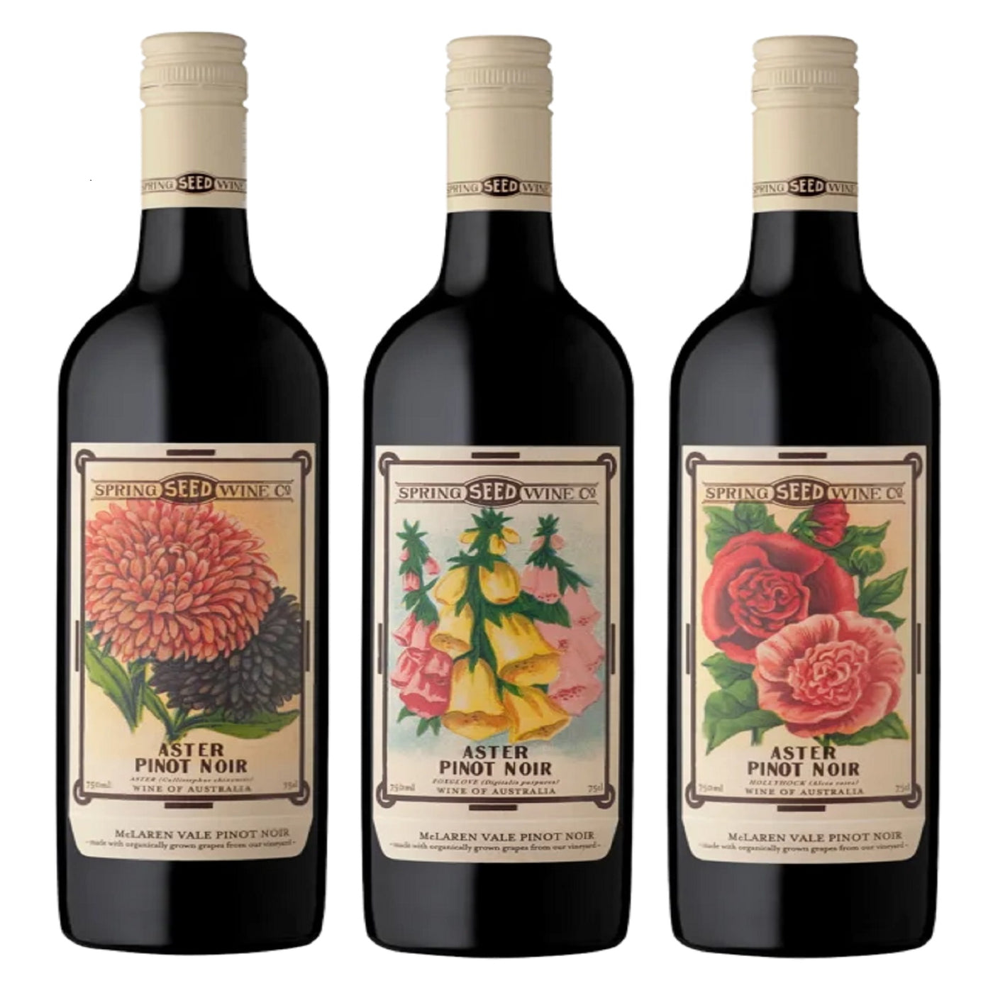 Beija Flor Spring Seed Wine Aster Pinot Noir in Different Floral Highlight