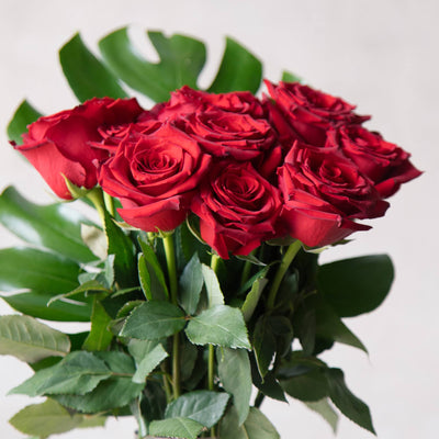 Beija Flor Valentines Day Dozen Red Rose Vase Tied in Purple Ribbon