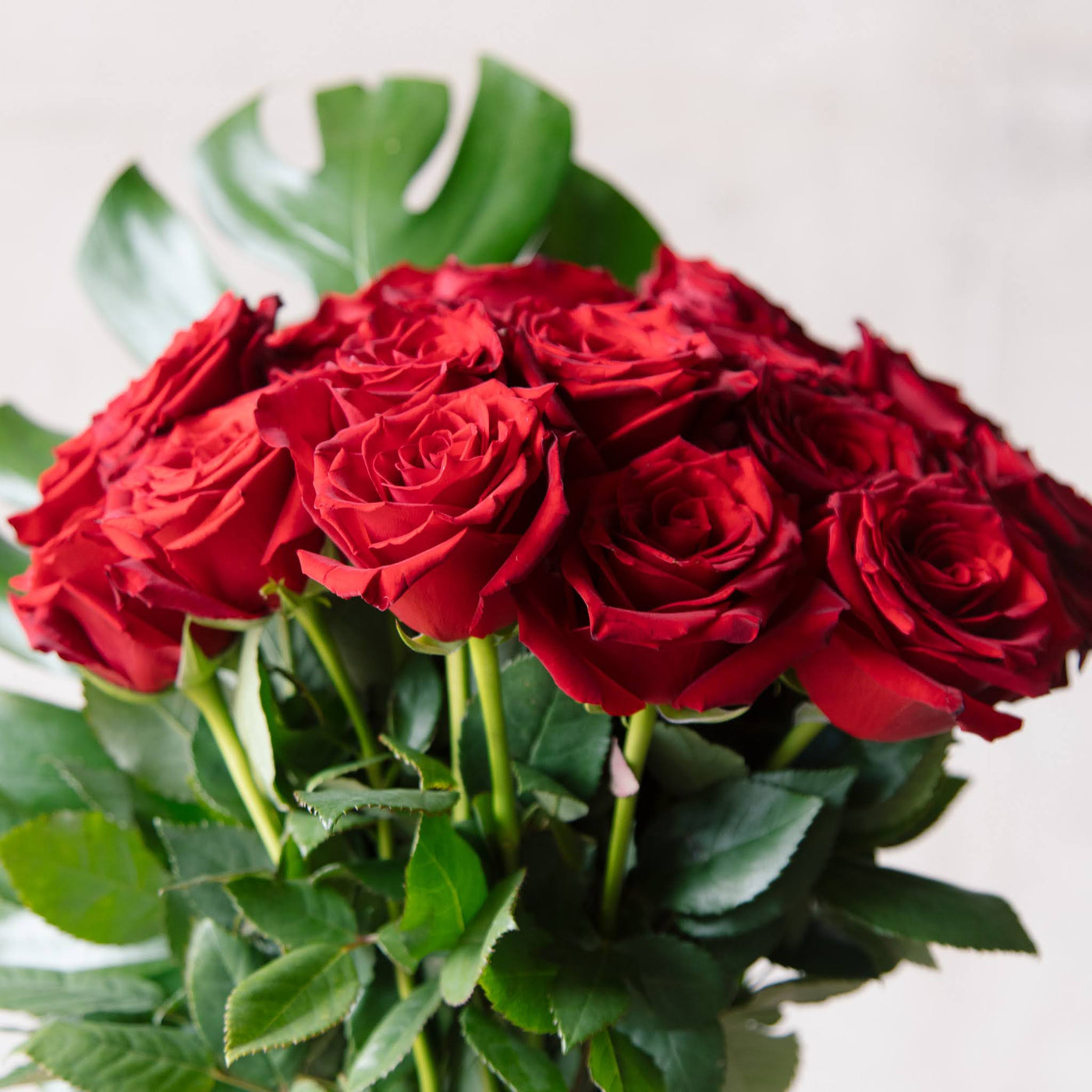 Beija Flor Valentines Day Two Dozen Rose Vase Tied in Purple Ribbon