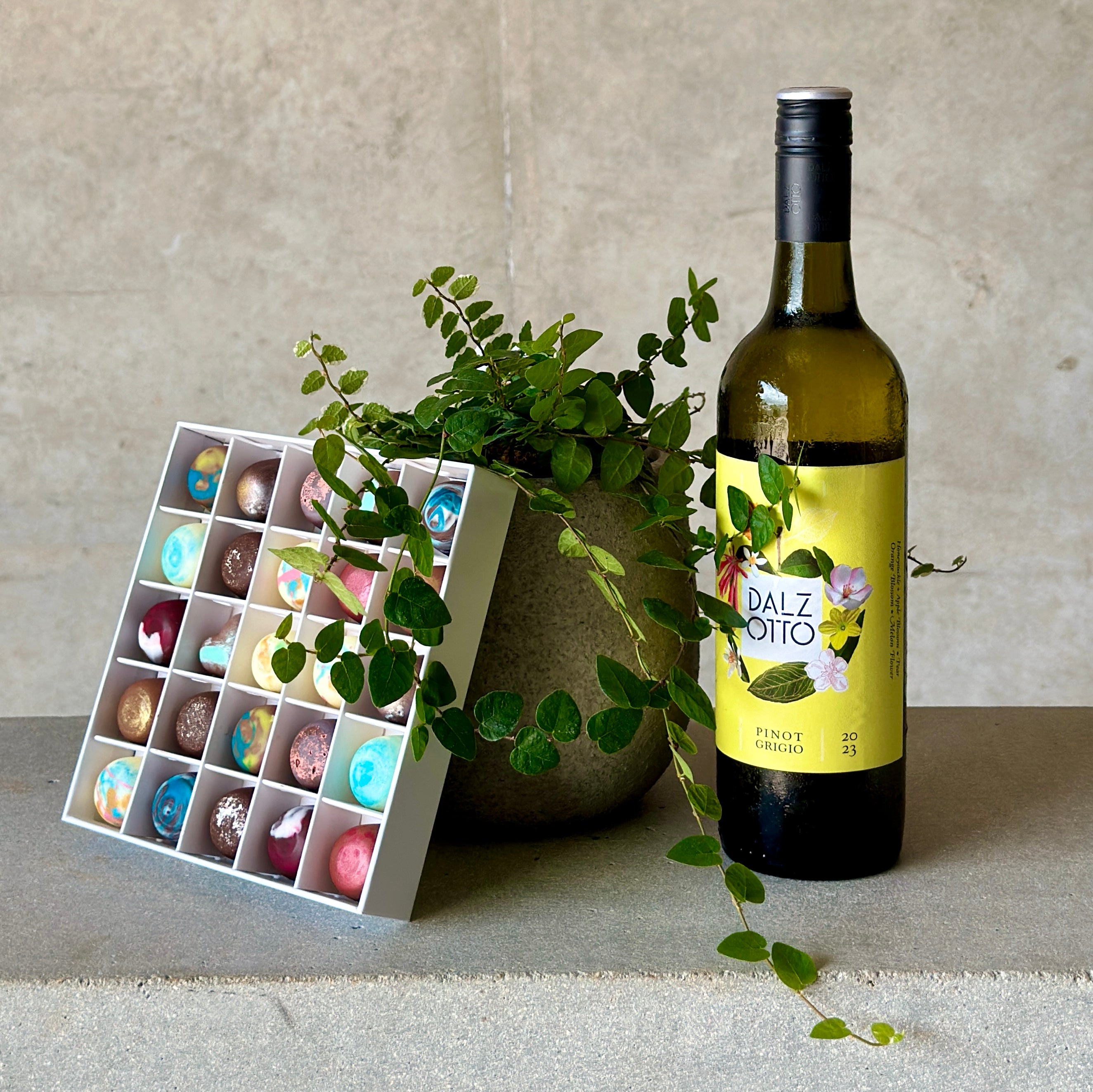 Pot Plant with Wine and Chocolates