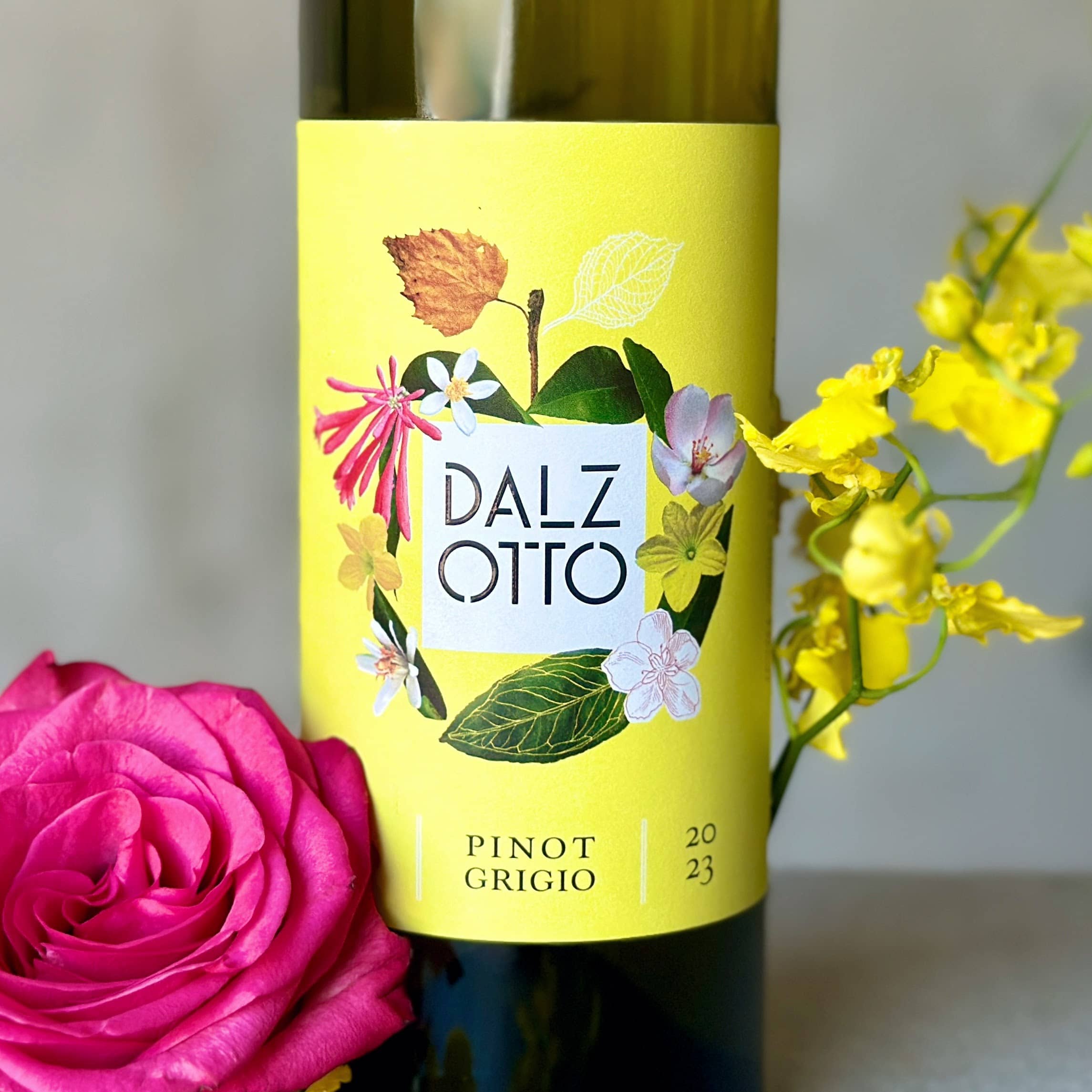 Wine Label Dalz Otto Pino Grigio