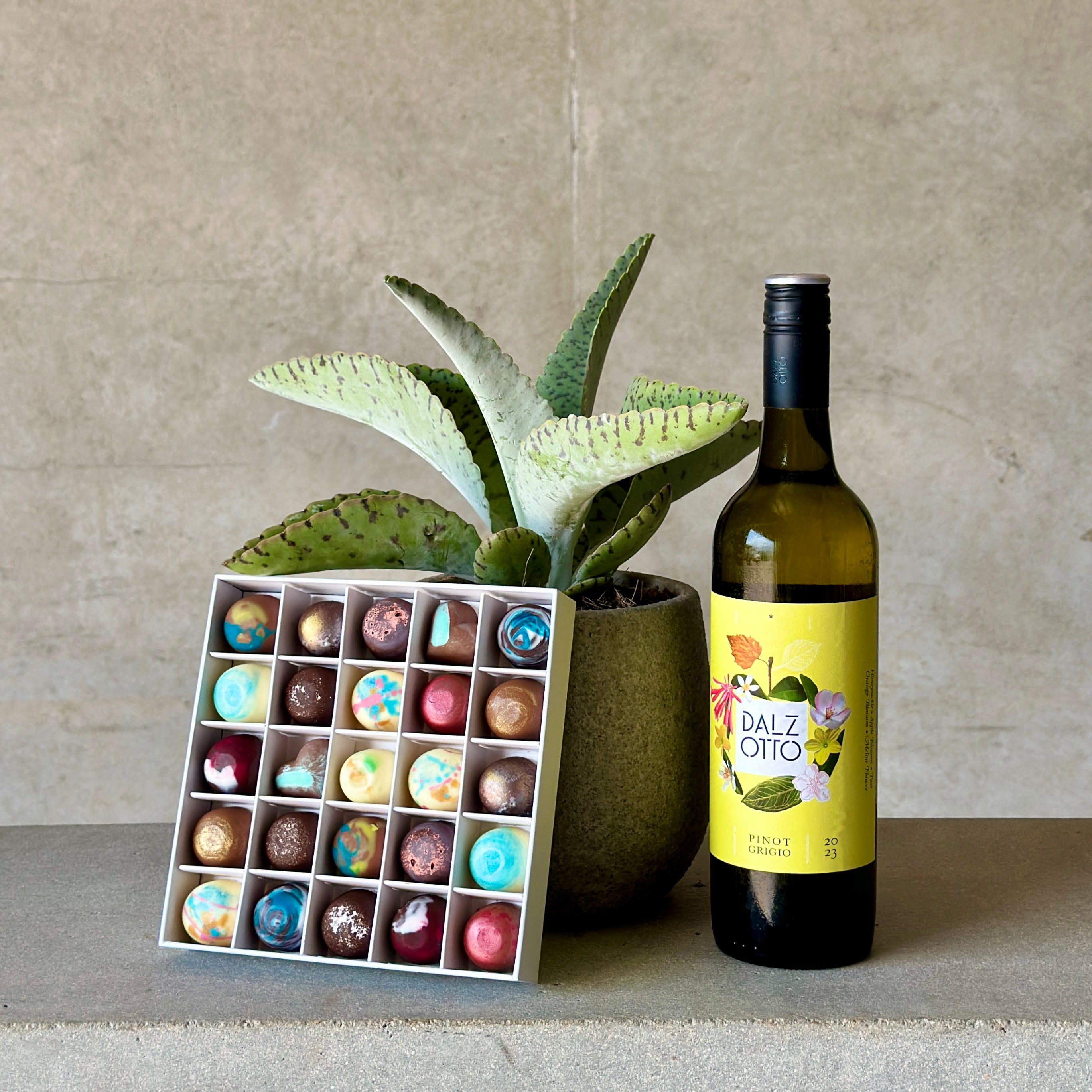 Pot Plant with Wine and Chocolates