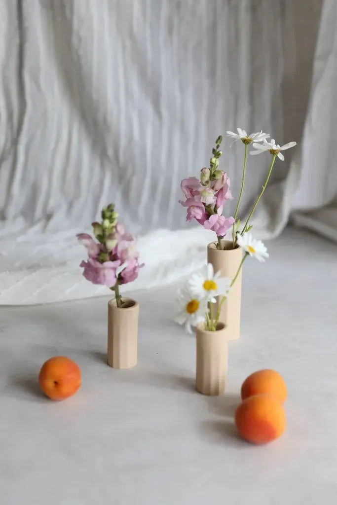 Jolie Budvase