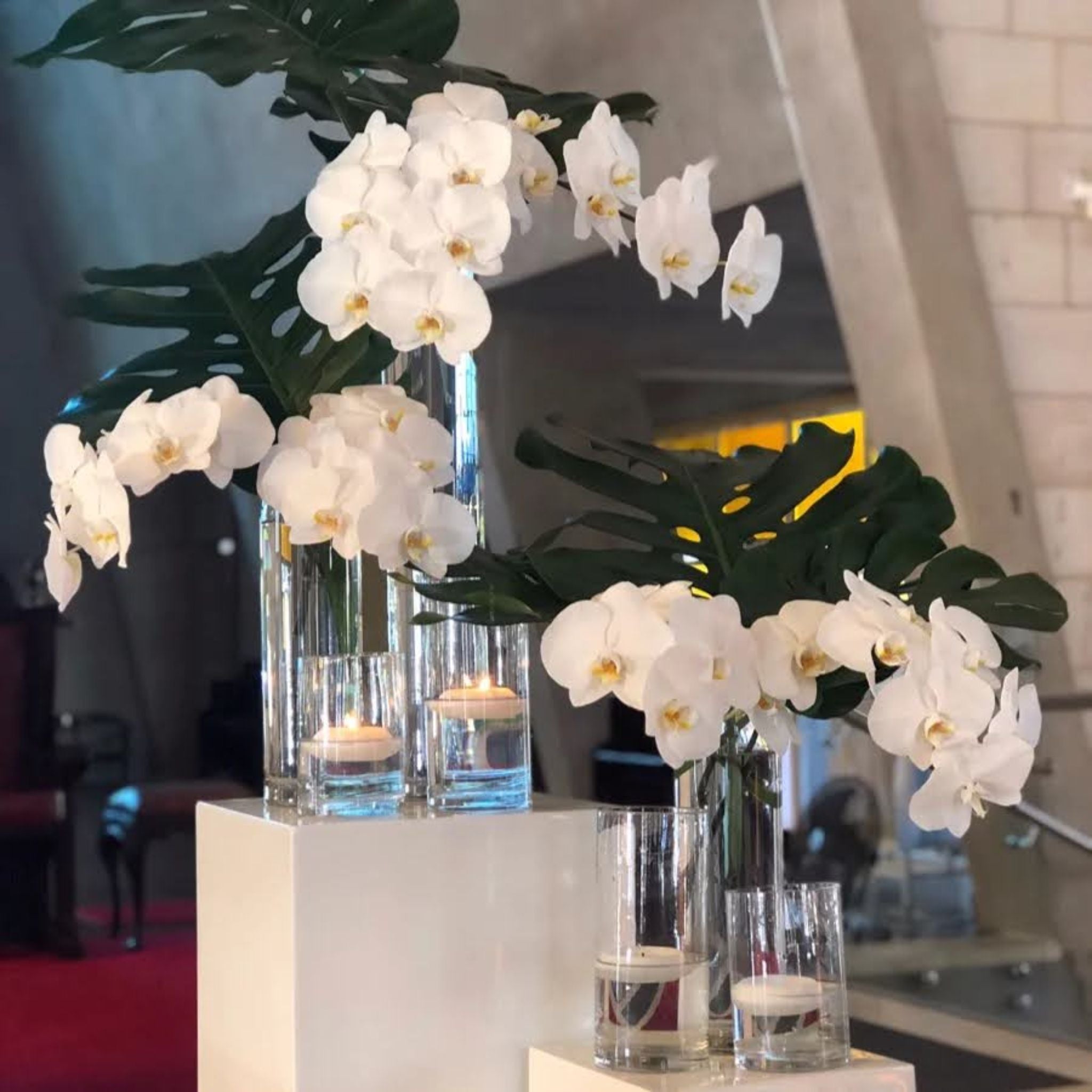 Glass Cylinder Medium Classic Vase Arrangement - Wedding & Event Hire - Beija Flor Darwin