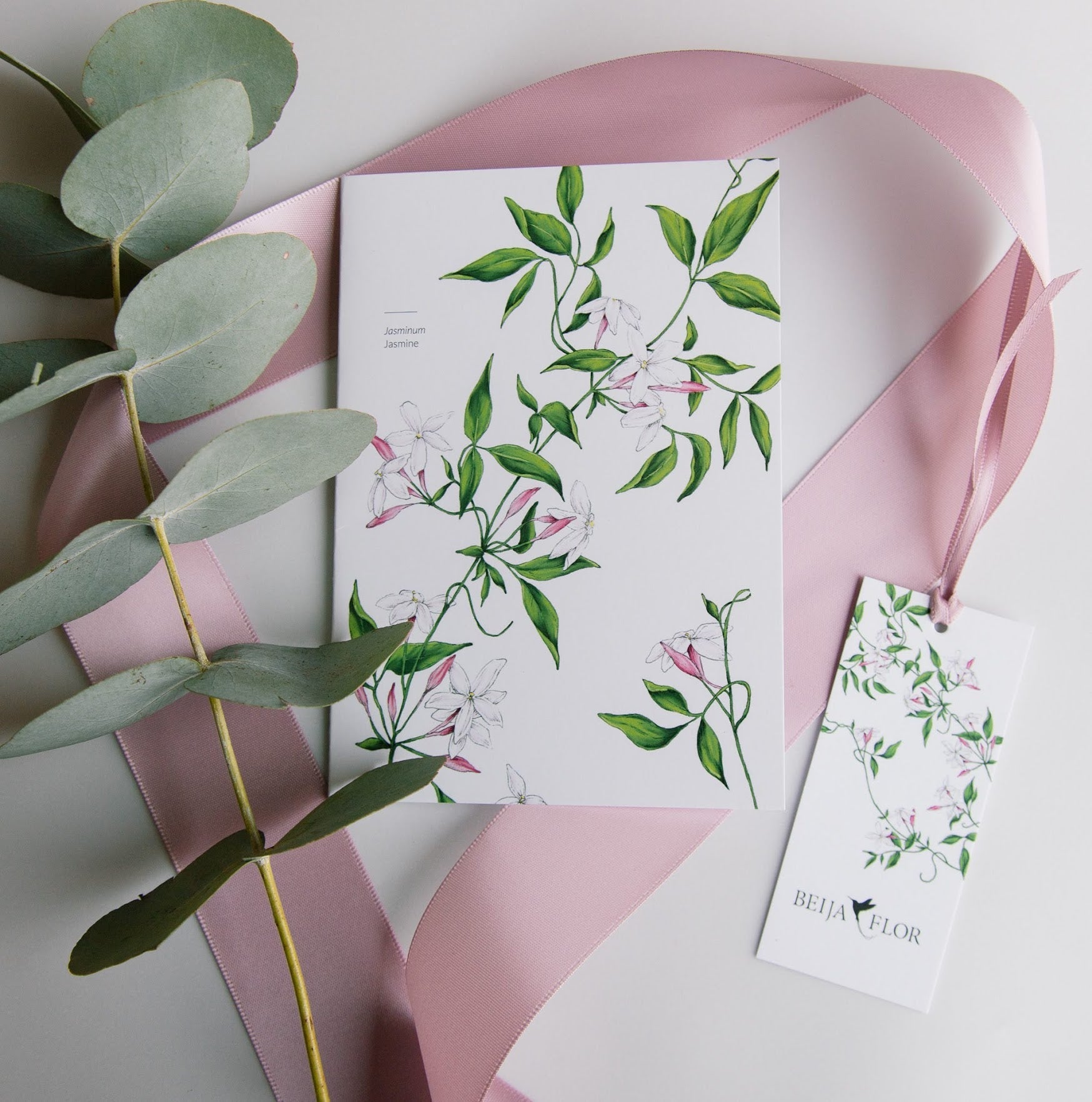 Greetings card illustrated with jasmine botanical artwork