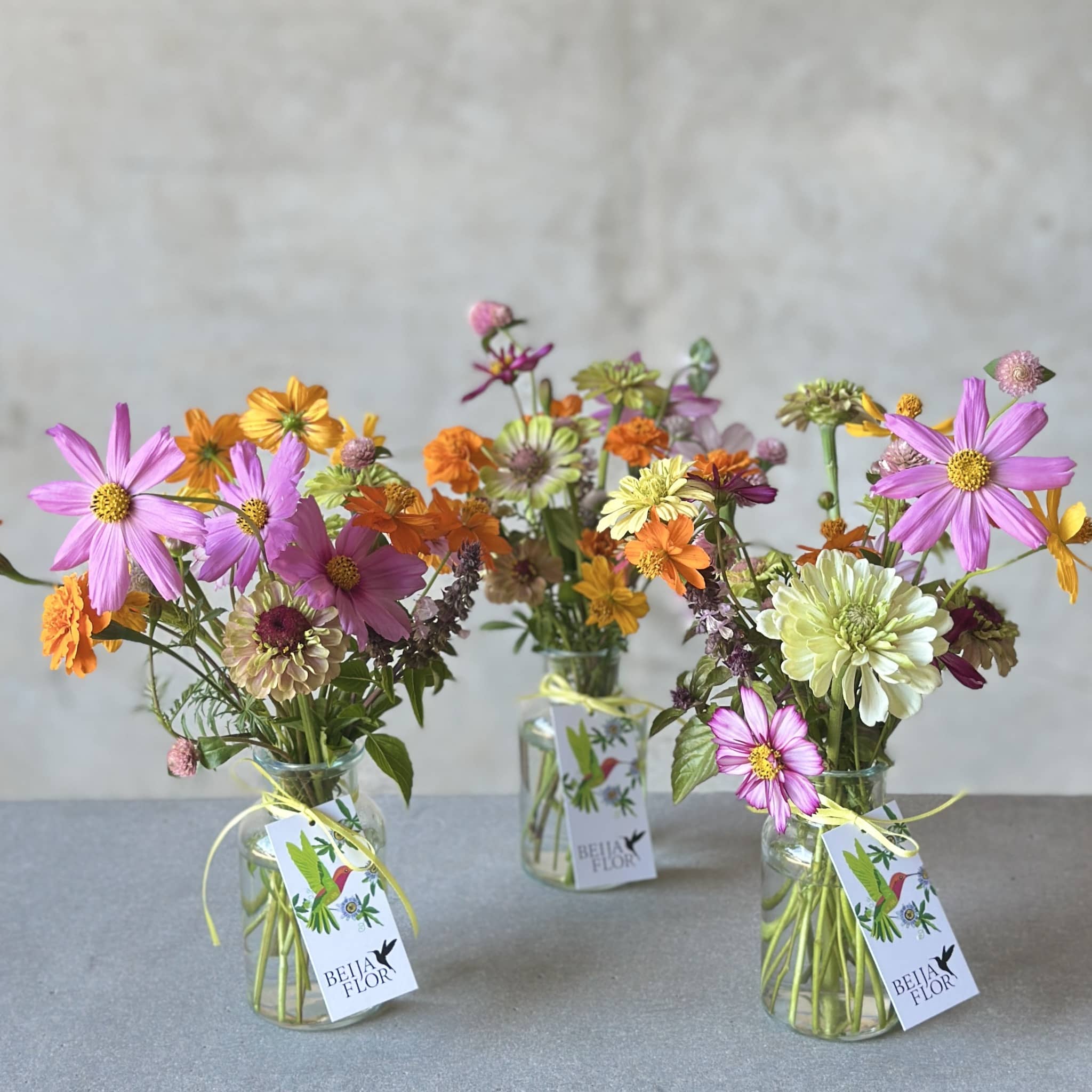 trio of local grown Darwin flower jars