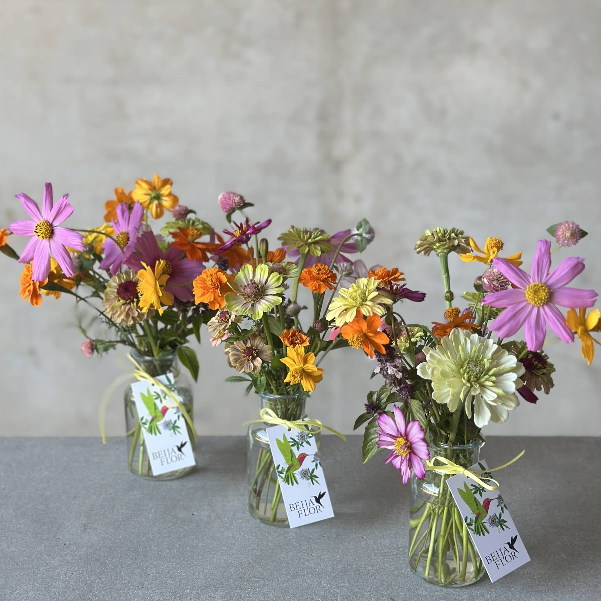 trio of local grown Darwin flower jars