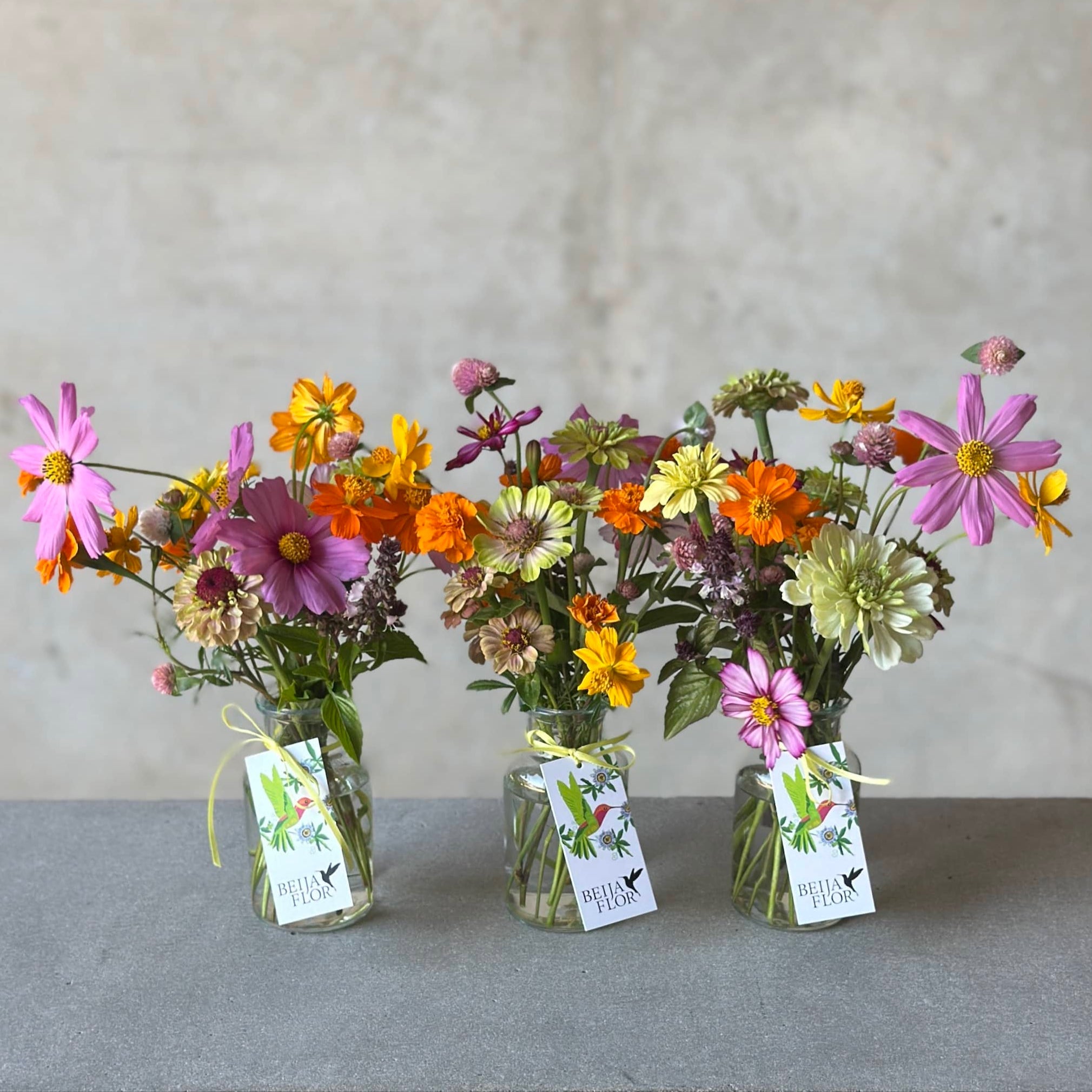 local Darwin grown flowers