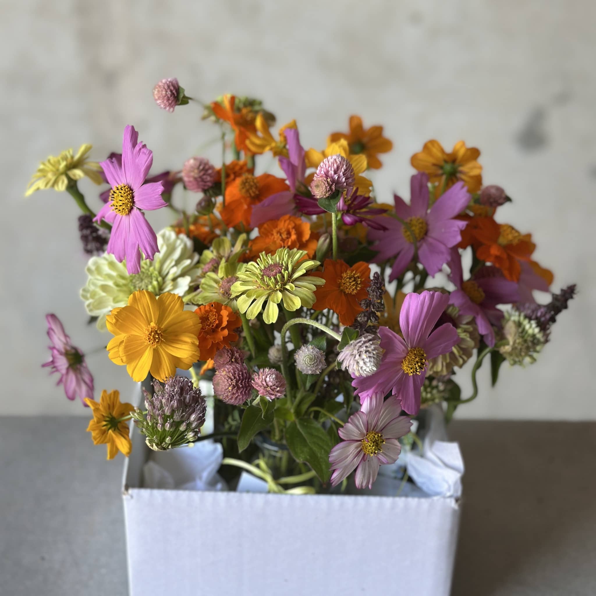 Darwin local grown flowers