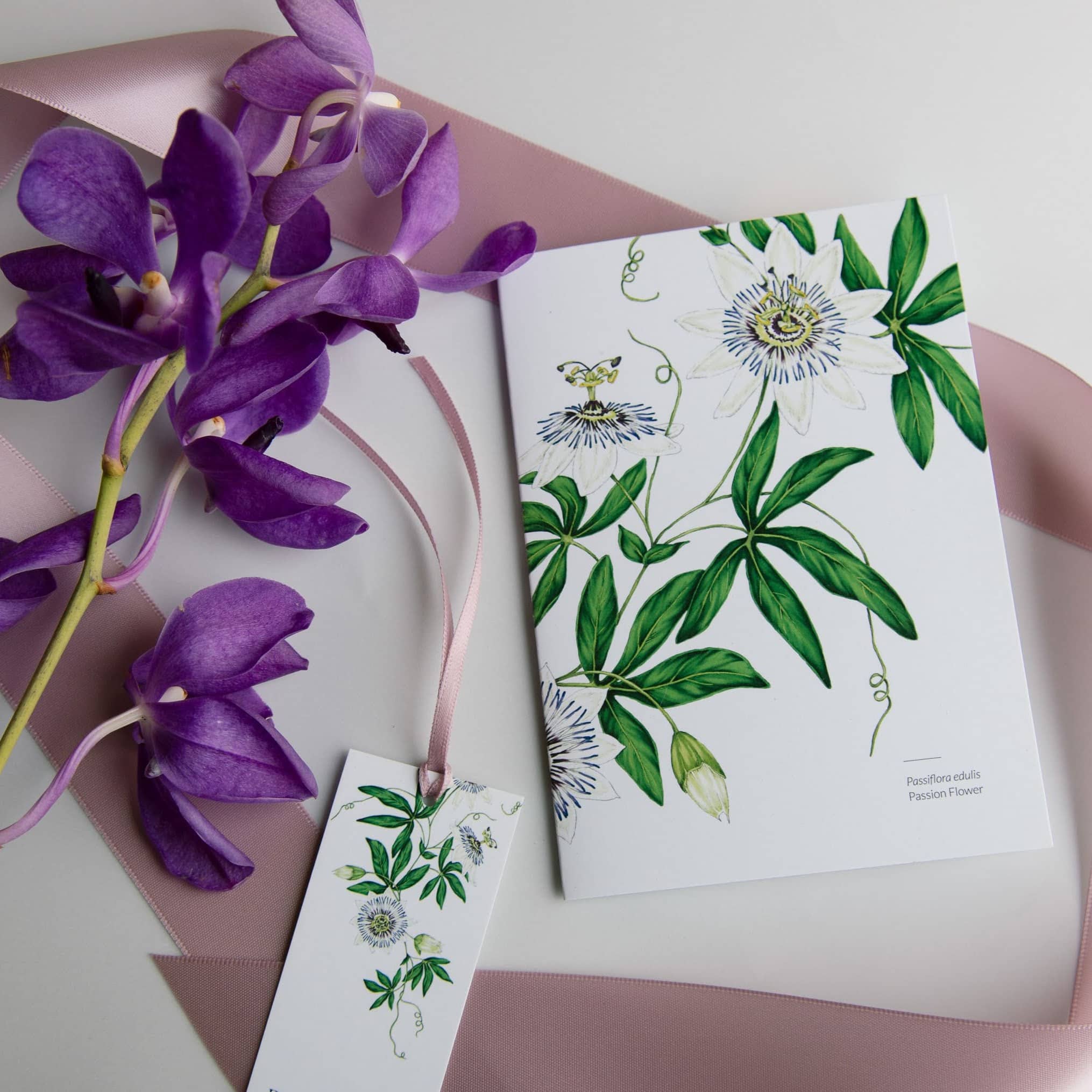 passion flower illustrated greetings card
