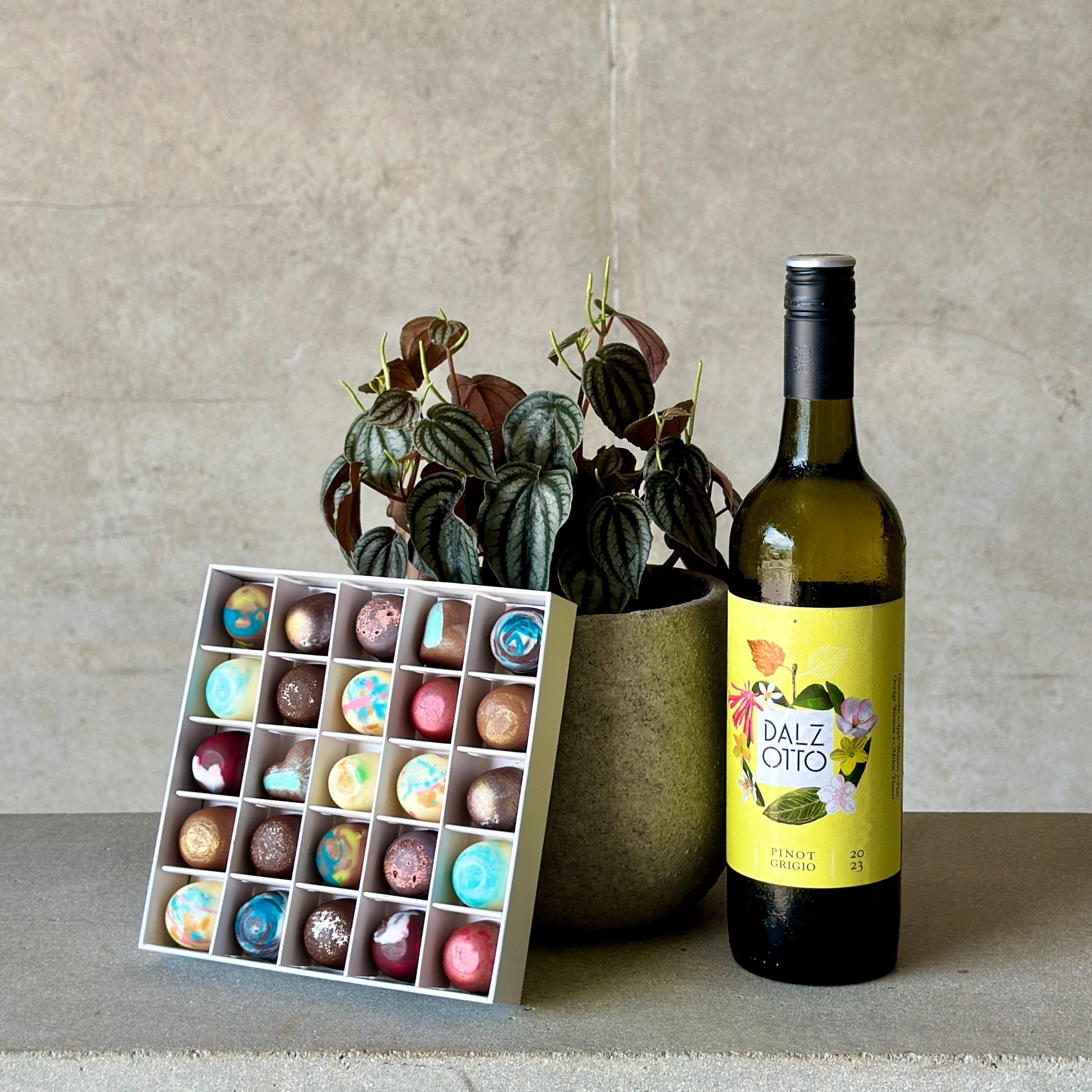 Pot Plant with Wine and Chocolates