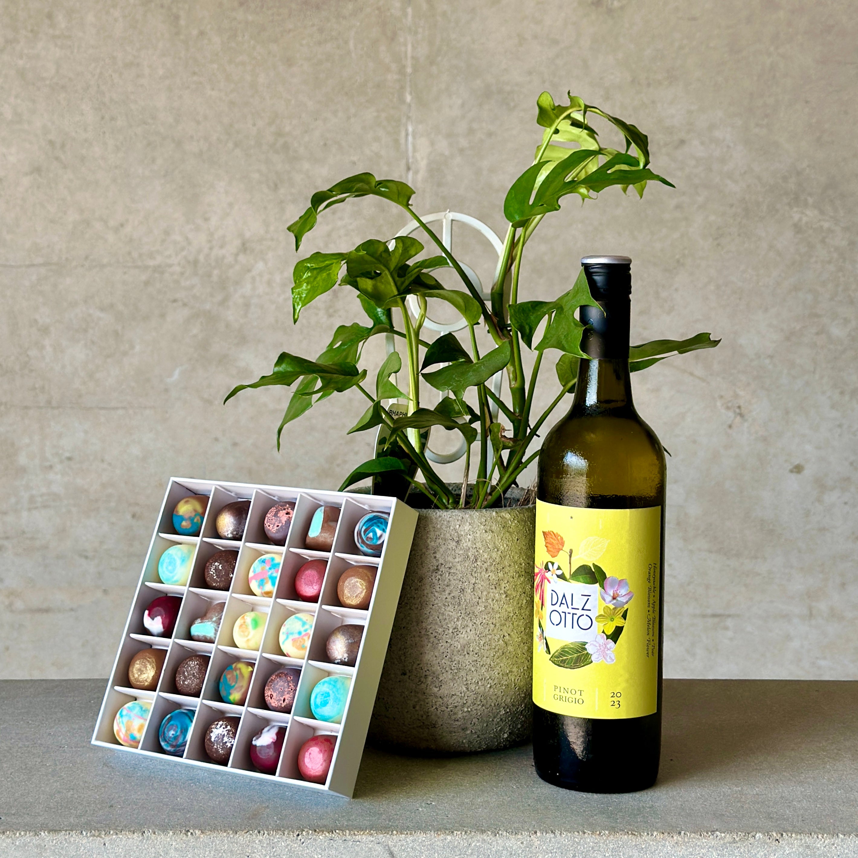 Pot Plant with Wine and Chocolates