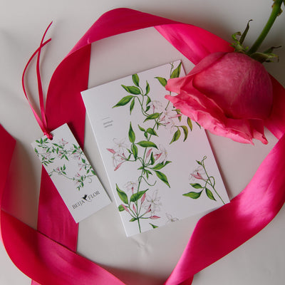 valentines day card with passion flower illustration and with pink rose flat lay with pink ribbon