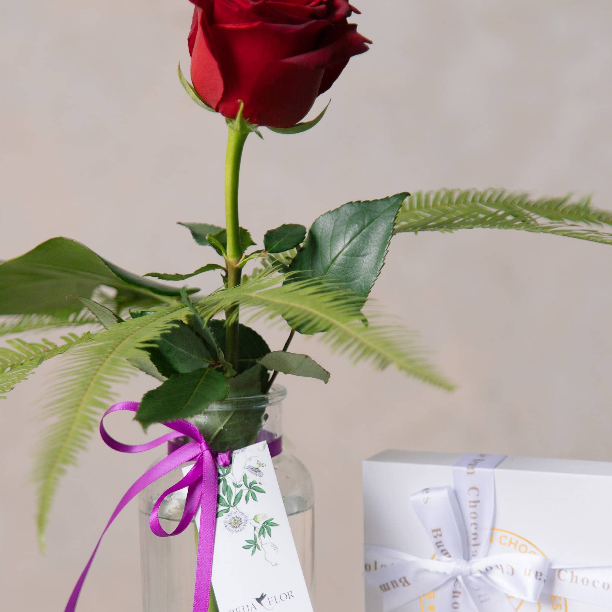 valentines day red rose and chocolates