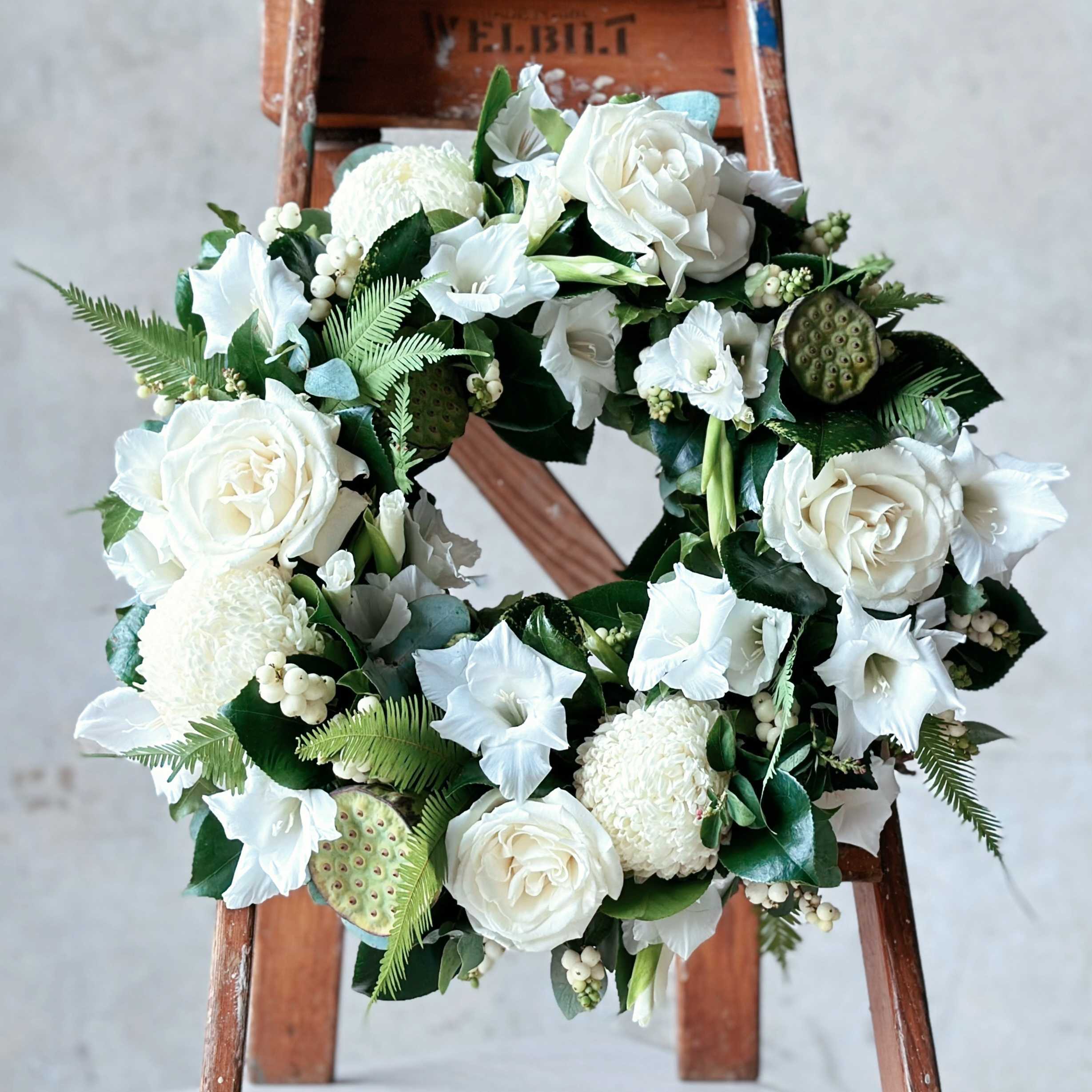 White Wreath - Beija Flor Darwin